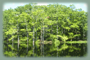 lake okeechobee images