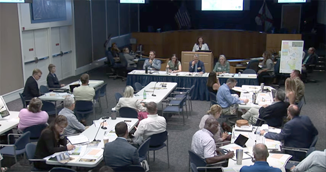 frame grab from video of IDS workshop held 19 September 2019