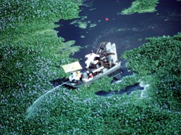 Foliar Application