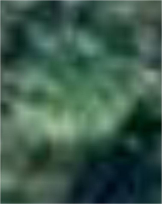 Google Earth Image