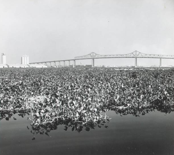 st johns river, 1968